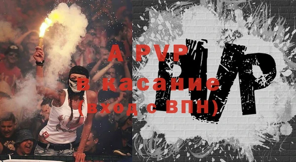 прущие грибы Белокуриха