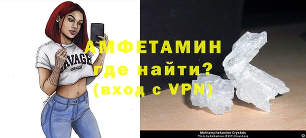 прущие грибы Белокуриха