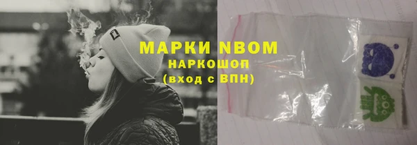 прущие грибы Белокуриха