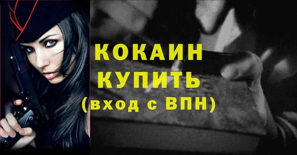 прущие грибы Белокуриха