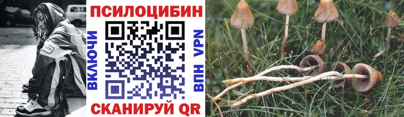 Купить закладки  Малоархангельск  Псилоцибиновые грибы прущие грибы 