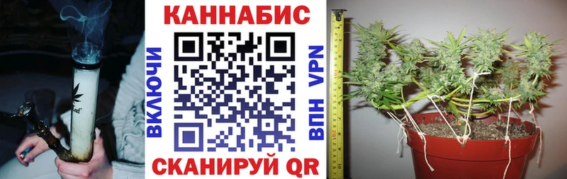 Купить где  Малоархангельск  Бошки Шишки семена 